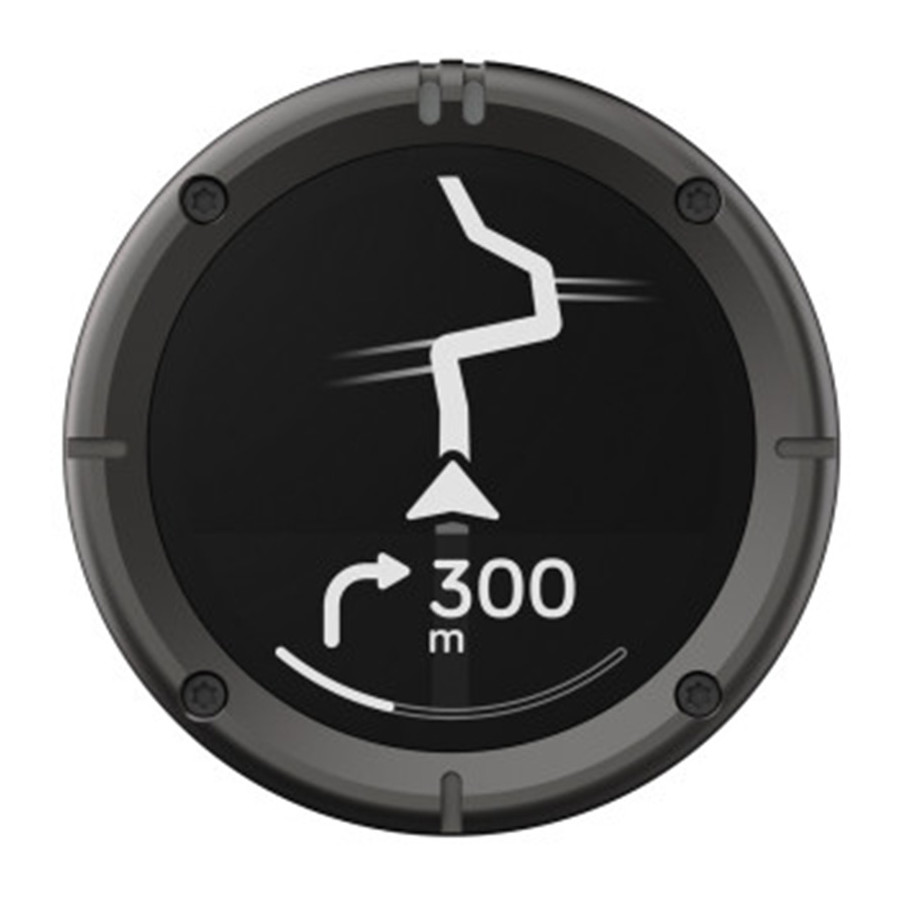 NAVEGADOR BEELINE MOTO 2 METAL GRIS