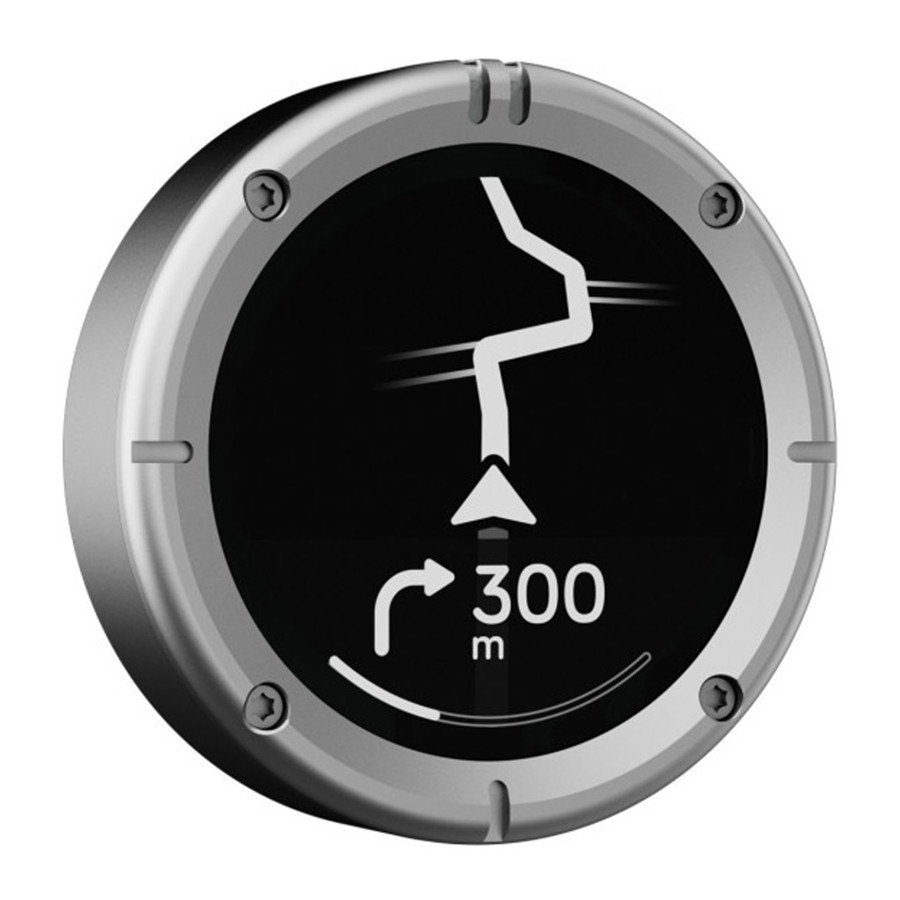 NAVEGADOR BEELINE MOTO 2 METAL PLATA