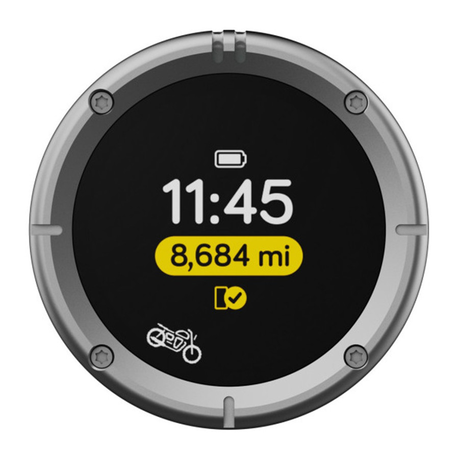 NAVEGADOR BEELINE MOTO 2 METAL PLATA